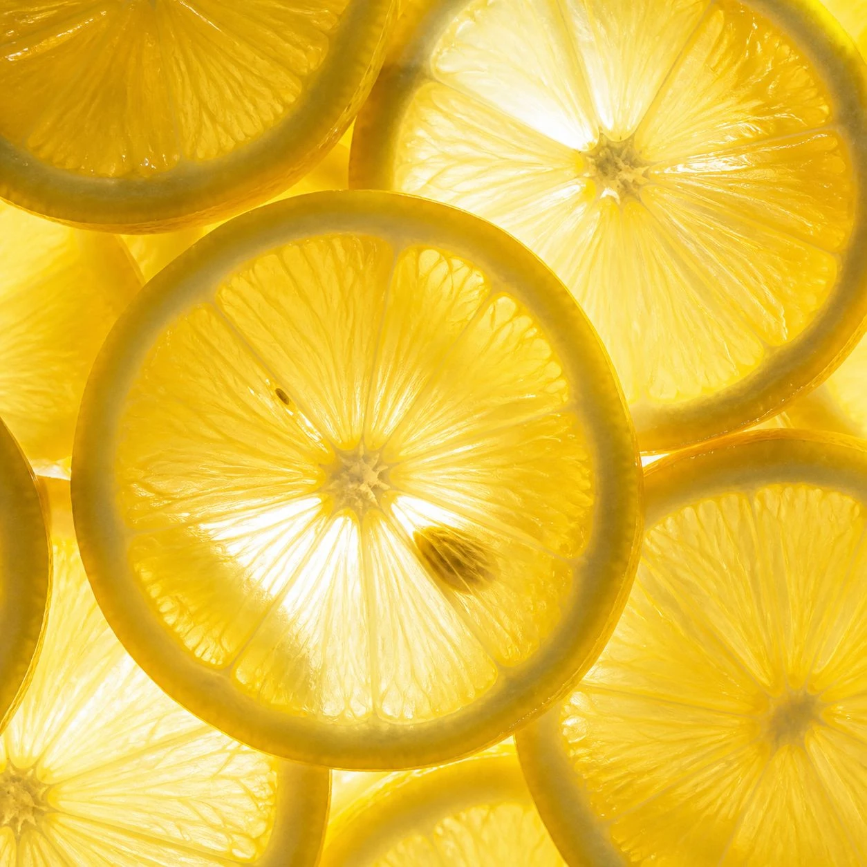lemon lemon